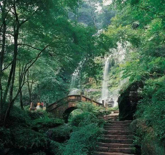 皮特森空砍60分 吉林东北虎男篮主场111-116不敌广东男篮